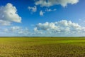 Green Agricultural Farm Field with Blue Sky and White Clouds in the Background,ÃÂ Grassland,ÃÂ Country Meadow Landscape,ÃÂ .World Royalty Free Stock Photo